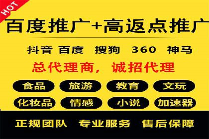 竞价推广公司案例：实战技巧与策略